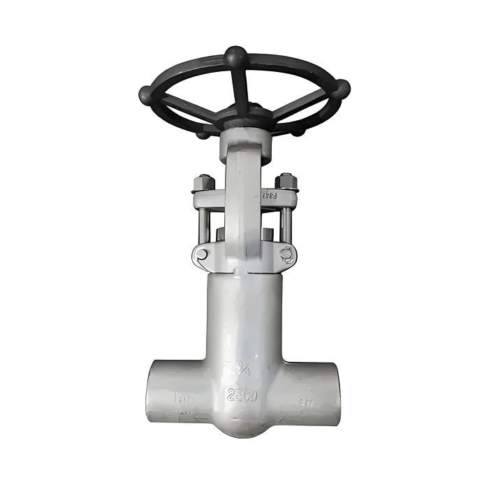 Pressure Seal Gate Valve factory
